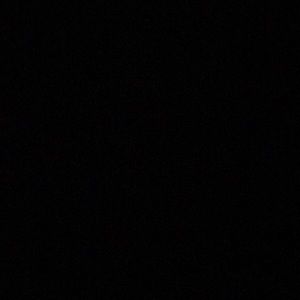 Meet your Posher, Brady